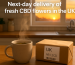 Parcel labelled “UK” beside a steaming mug on a kitchen counter at sunset, representing next-day delivery of legal CBD flowers in the UK.