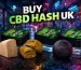 Urban scene showing three varieties of CBD hash with Iguana Smoke packaging and the text “Buy CBD Hash UK”